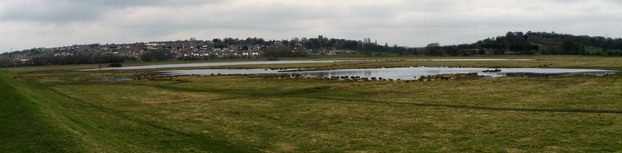 Wombwell Ings with Darfield in the background