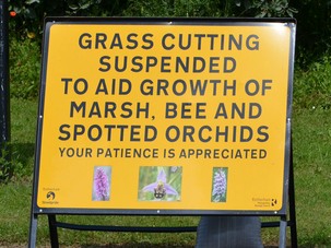Signage explaining to the public that mowing is suspended to protect wild flowers Signage explaining to the public that mowing is suspended to protect wild flowers