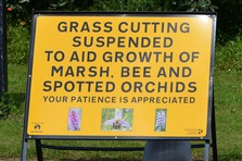 Sign grass cutting suspended to protect flowers including three orchid species