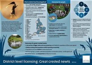 Natural England Infographic