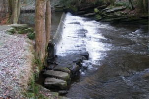 Weir on River Don near Tin Mills